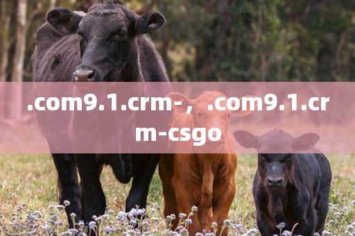 .com9.1.crm-，.com9.1.crm-csgo