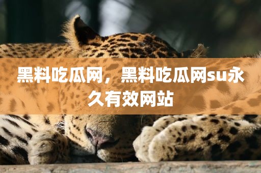 黑料吃瓜网，黑料吃瓜网su永久有效网站