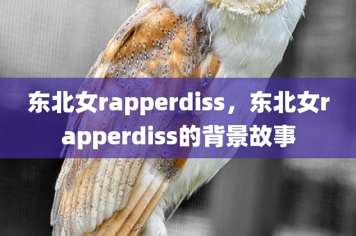 东北女rapperdiss，东北女rapperdiss的背景故事