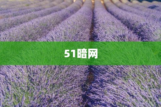 51暗网