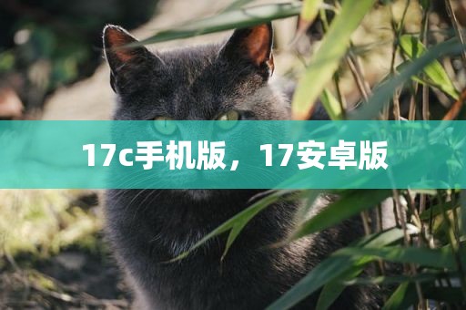 17c手机版，17安卓版