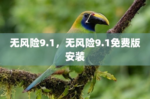 无风险9.1，无风险9.1免费版安装