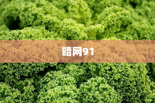 暗网91