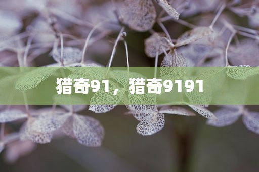 猎奇91，猎奇9191