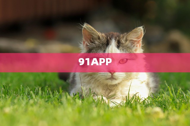 91APP