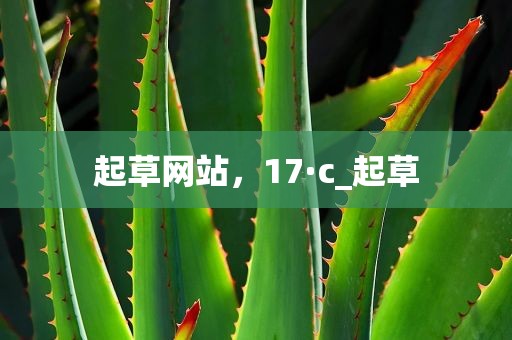 起草网站，17·c_起草