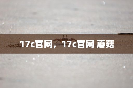 17c官网，17c官网 蘑菇
