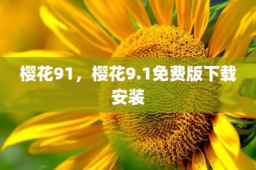 樱花91，樱花9.1免费版下载安装