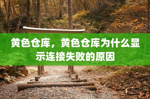 黄色仓库，黄色仓库为什么显示连接失败的原因