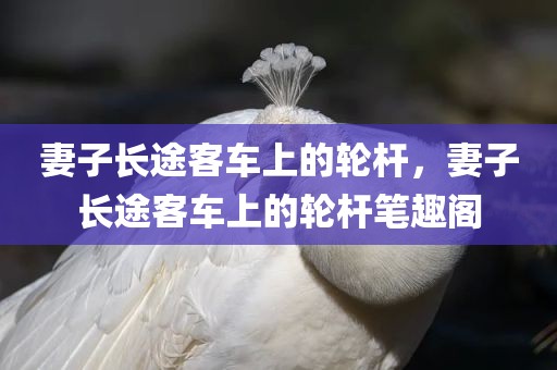 妻子长途客车上的轮杆，妻子长途客车上的轮杆笔趣阁