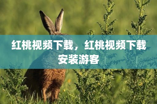 红桃视频下载，红桃视频下载安装游客