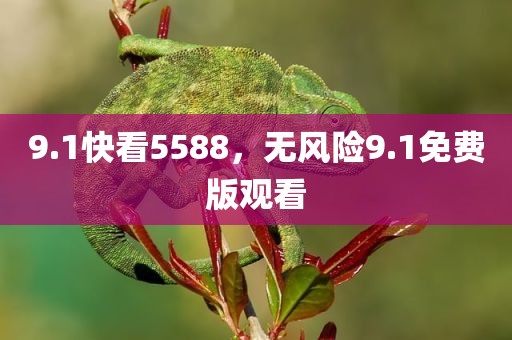 9.1快看5588，无风险9.1免费版观看