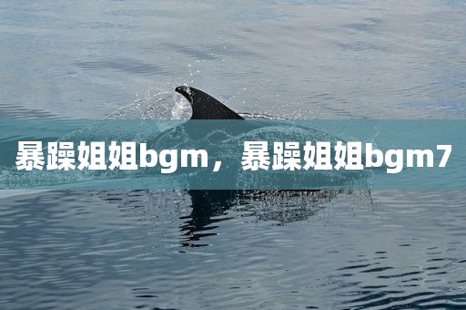 暴躁姐姐bgm，暴躁姐姐bgm7