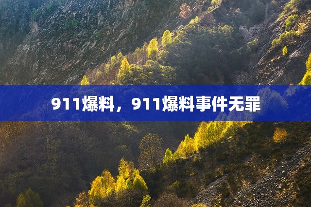 911爆料，911爆料事件无罪
