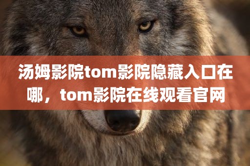 汤姆影院tom影院隐藏入口在哪，tom影院在线观看官网