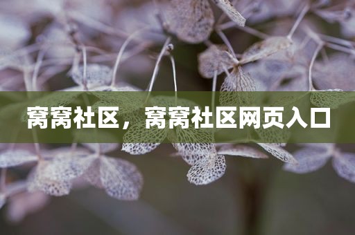 窝窝社区，窝窝社区网页入口