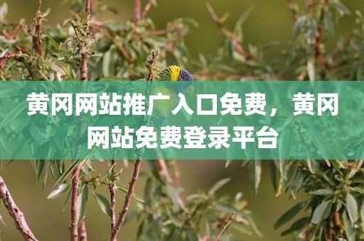 黄冈网站推广入口免费，黄冈网站免费登录平台