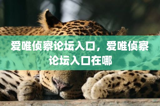 爱唯侦察论坛入口，爱唯侦察论坛入口在哪