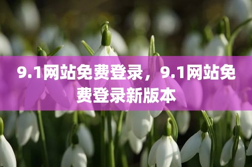 9.1网站免费登录，9.1网站免费登录新版本