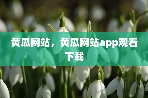 黄瓜网站，黄瓜网站app观看下载