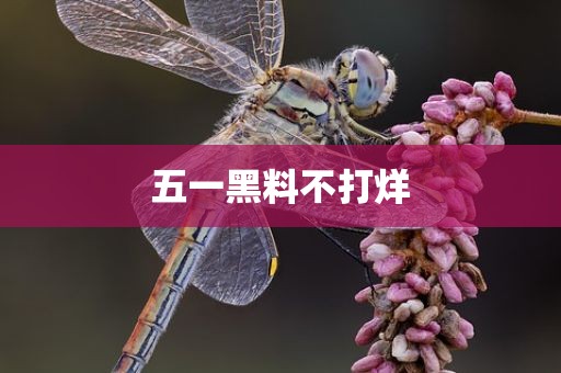 五一黑料不打烊