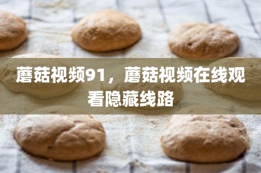 蘑菇视频91，蘑菇视频在线观看隐藏线路