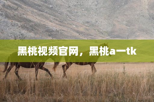 黑桃视频官网，黑桃a一tk