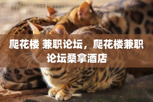 爬花楼 兼职论坛，爬花楼兼职论坛桑拿酒店