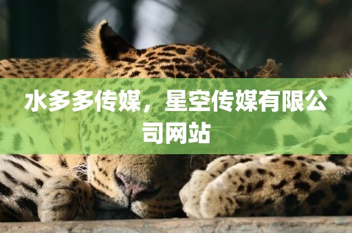 水多多传媒，星空传媒有限公司网站
