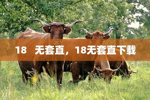 18   无套直，18无套直下载