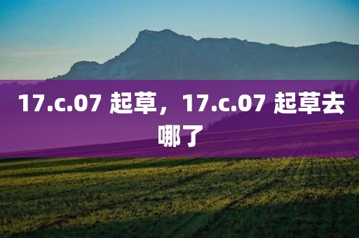 17.c.07 起草，17.c.07 起草去哪了