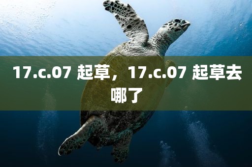 17.c.07 起草，17.c.07 起草去哪了