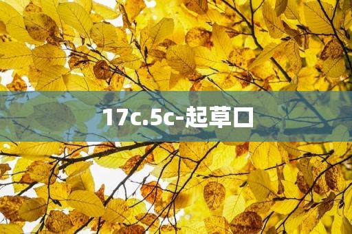 17c.5c-起草口