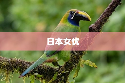 日本女优