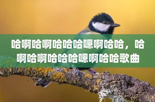 哈啊哈啊哈哈哈嗯啊哈哈，哈啊哈啊哈哈哈嗯啊哈哈歌曲