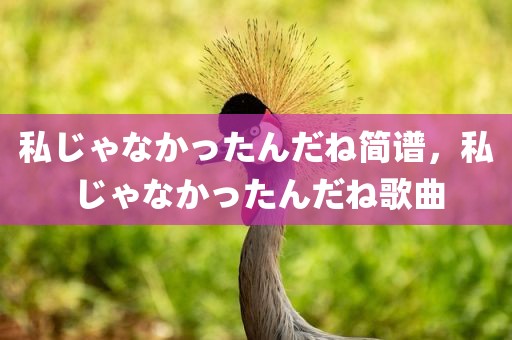 私じゃなかったんだね简谱，私じゃなかったんだね歌曲