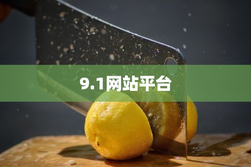 9.1网站平台