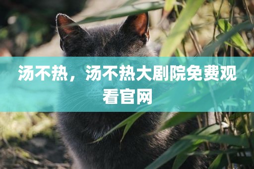 汤不热，汤不热大剧院免费观看官网