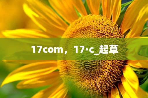 17com，17·c_起草
