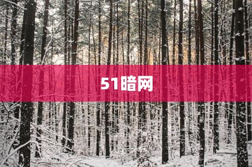51暗网