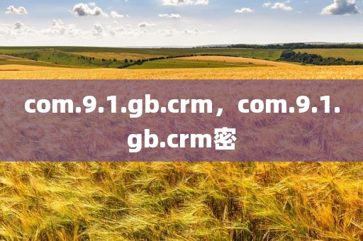 com.9.1.gb.crm，com.9.1.gb.crm密
