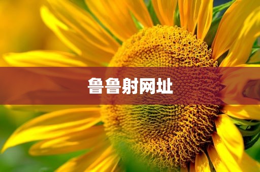 鲁鲁射网址