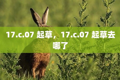 17.c.07 起草，17.c.07 起草去哪了