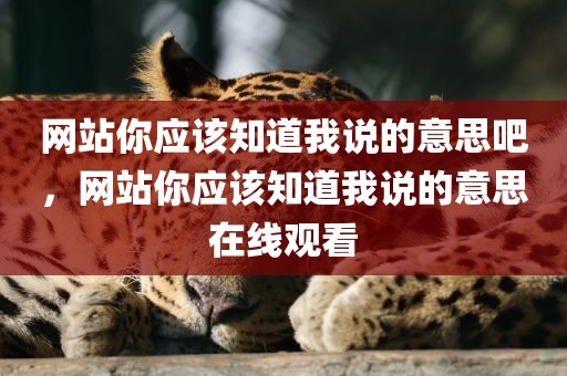 网站你应该知道我说的意思吧，网站你应该知道我说的意思在线观看