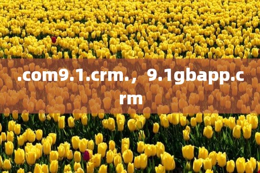 .com9.1.crm.，9.1gbapp.crm