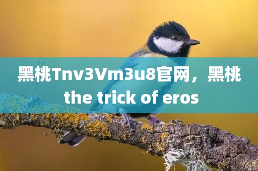 黑桃Tnv3Vm3u8官网，黑桃 the trick of eros