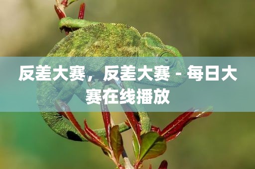 反差大赛，反差大赛 - 每日大赛在线播放