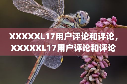 XXXXXL17用户评论和评论，XXXXXL17用户评论和评论