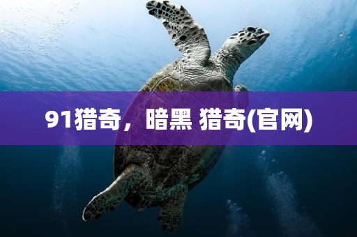 91猎奇，暗黑 猎奇(官网)