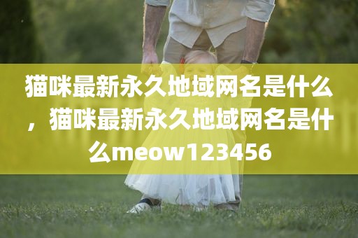 猫咪最新永久地域网名是什么，猫咪最新永久地域网名是什么meow123456